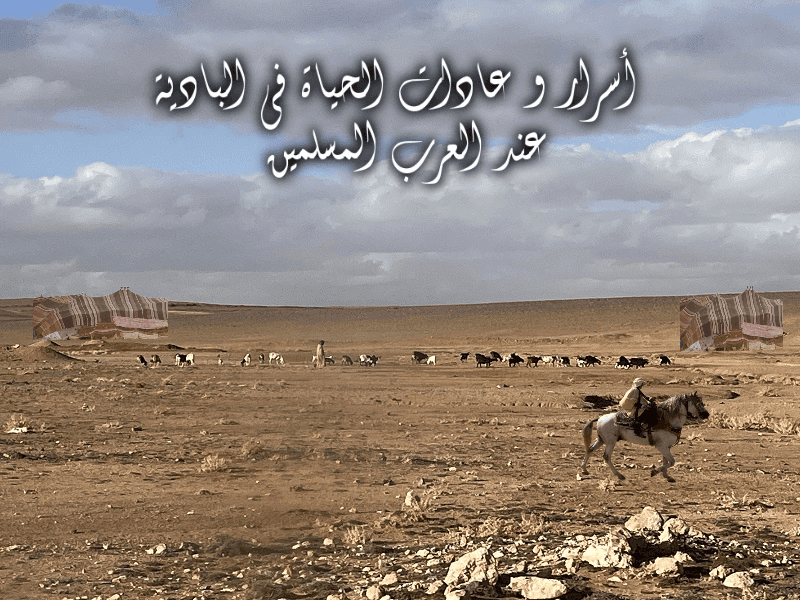 أسرار و عادات الحياة في البادية عند العرب المسلمين 1 حياة بدو العرب و مواردهم المعيشية في البلدان الإسلامية