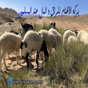 بركة الغنم في الإسلام